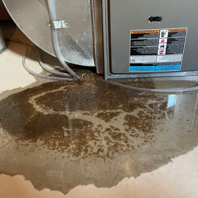Pipe Burst and Leak Restoration in Lincoln Heights, OH
