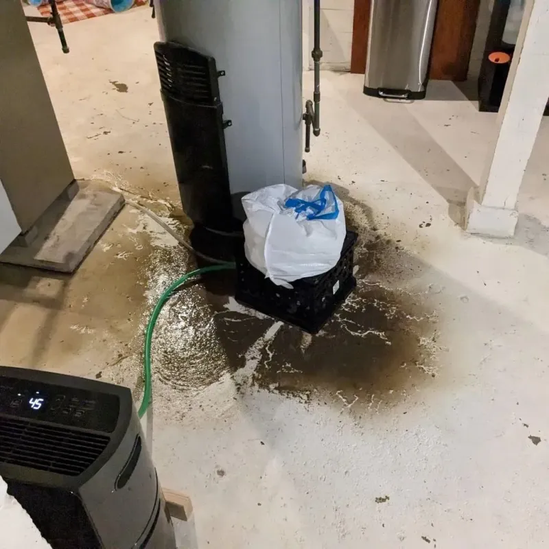 Sewage Backup Cleanup Service in Lincoln Heights, OH